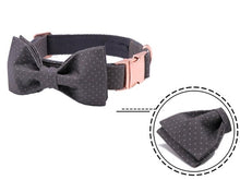 Load image into Gallery viewer, Dot Design Dog Leash and Collar - PetSquares